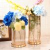 Bình Thủy Tinh Khung Kim Loại Vàng 03 1 Bình Thủy Tinh Khung Kim Loại Vàng 03