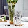 Lọ Thủy Tinh Cắm Hoa Hình Tre (Bán Lẻ Theo Size)