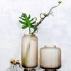 Bình Hoa Thủy Tinh Cắm Hoa Cao Cấp Mã 215-216 (Bán Lẻ)
