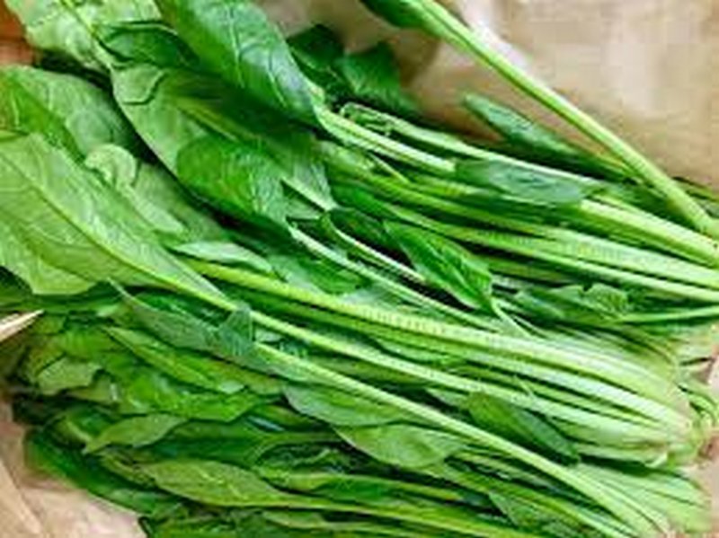 Tổng hợp công thức 10+  công thức nước ép cải bó xôi ngon giảm cân