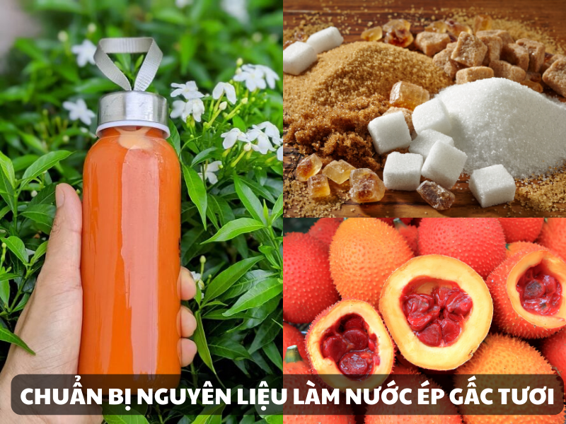 Tổng Hợp 3+ Công Thức Nước Uống Từ Gấc Ngon Bổ Dưỡng 20 Cach Lam Nuoc Ep Gac
