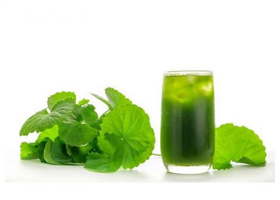 Tổng hợp công thức 40+ các loại nước ép trái cây